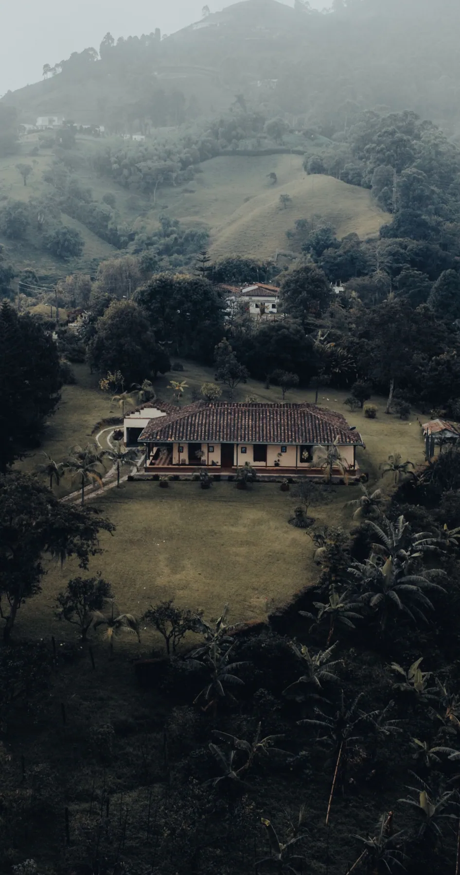 Coffee farm tour in the Colombian Coffee Region