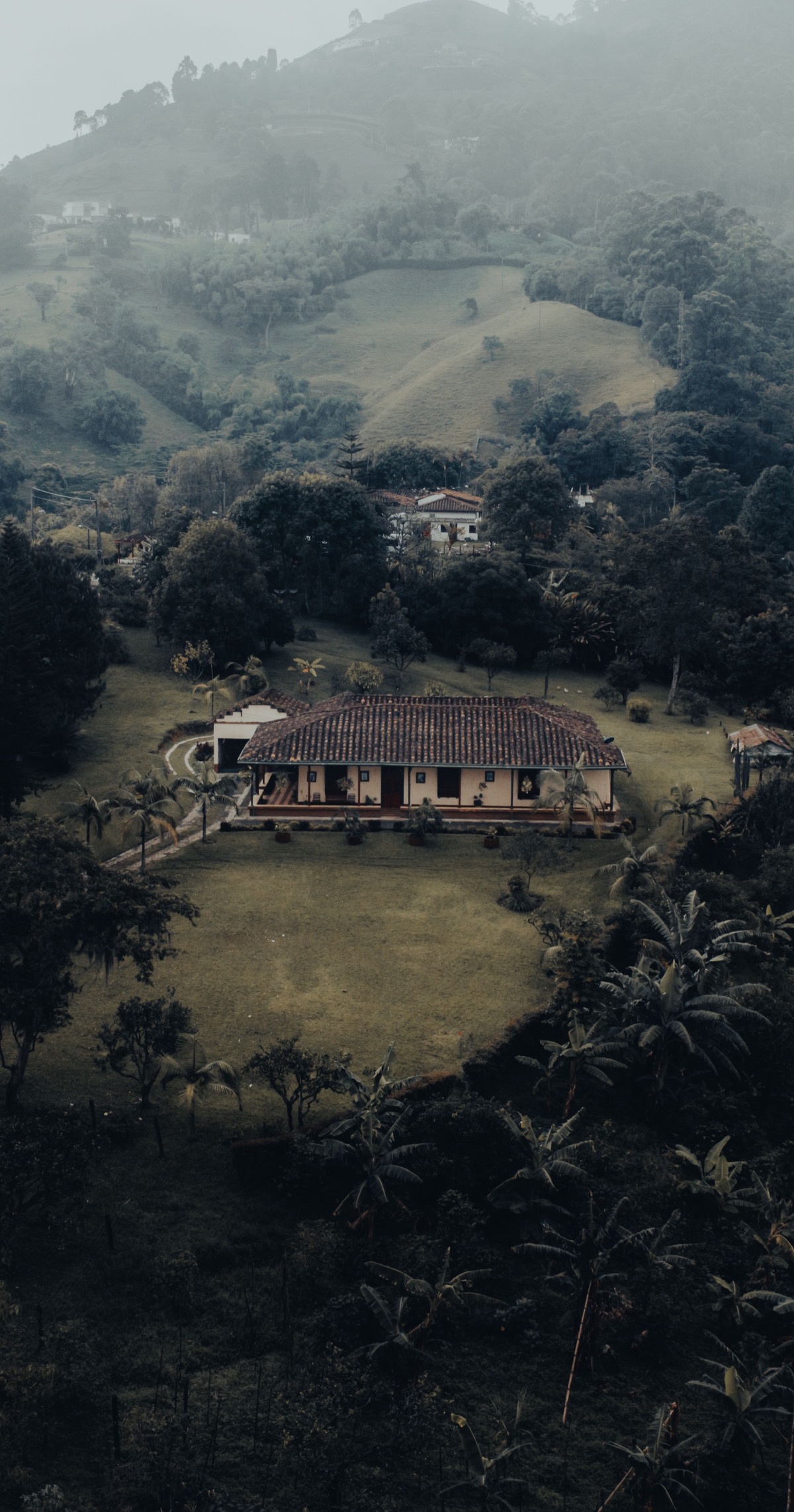 Colombian coffee farm hacienda dental tourism Coffee Region